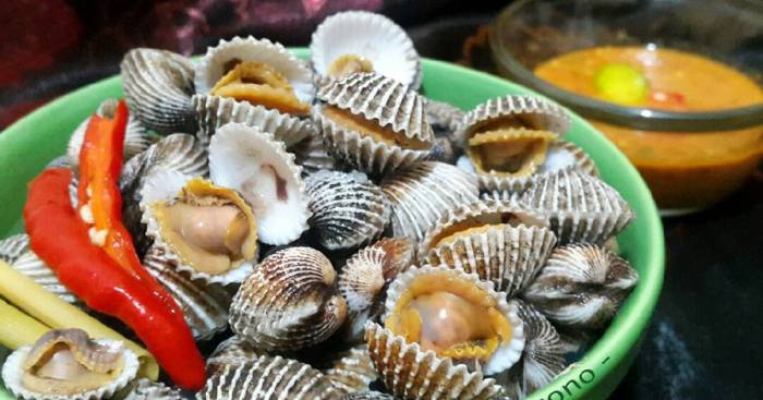 Resep Kerang Rebus Enak