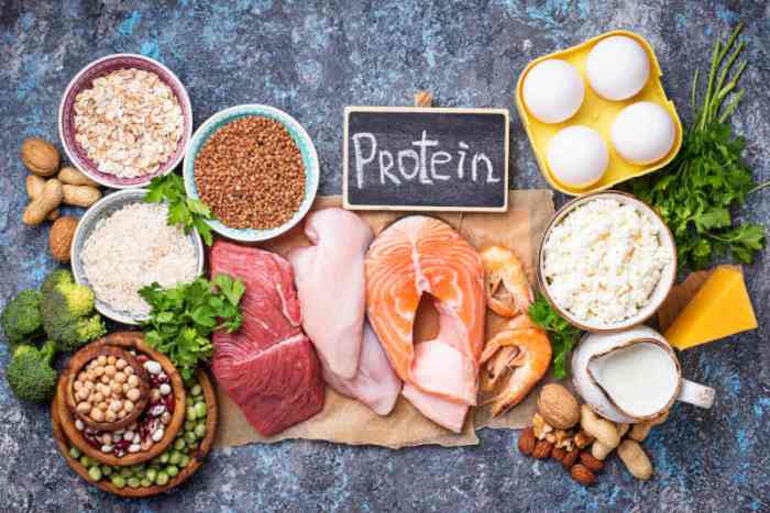 Resep Makanan Tinggi Protein untuk Diet dan Otot