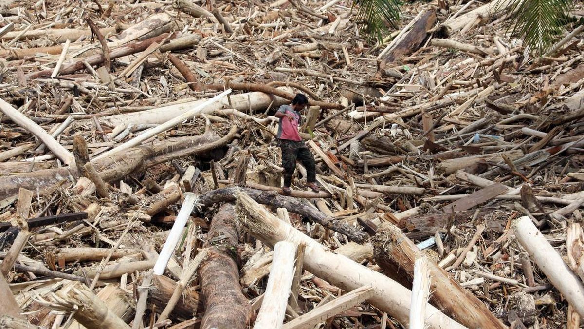 Menteri LH Hentikan Operasional Tiga Perusahaan Tambang dan Sawit di Batang Toru
