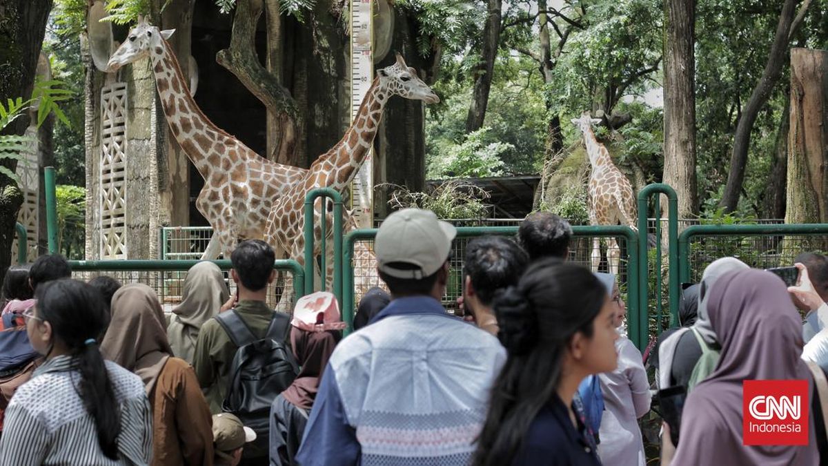 113398 Wisatawan Kunjungi Ragunan di Libur Awal Tahun Baru 2026